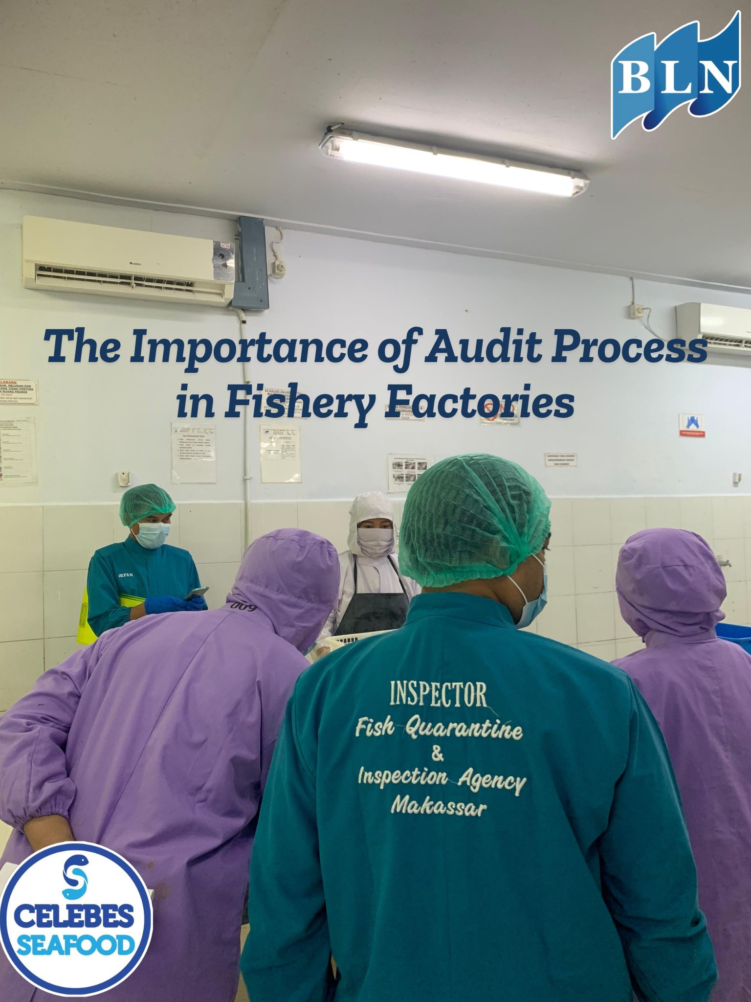 The Importance of Audit Process in Fishery Factories